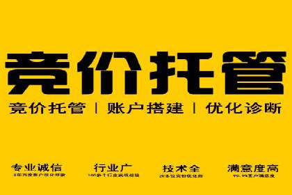 百度推广公司案例分享：如何通过百度推广实现持续增长